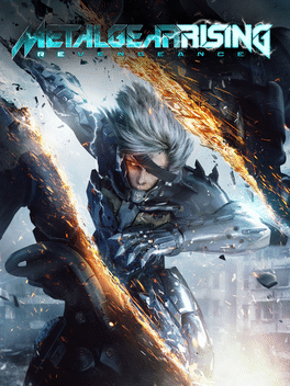 Metal Gear Rising: Revengeance stoom CD Key