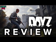 DayZ stoom account