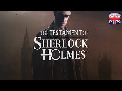 Het testament van Sherlock Holmes Steam CD Key