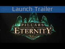 Pillars of Eternity - heldeneditie stoom CD Key