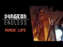 Dungeon of the Endless stoom CD Key