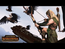 Total War: Warhammer - Het rijk van de boselfen Steam CD Key