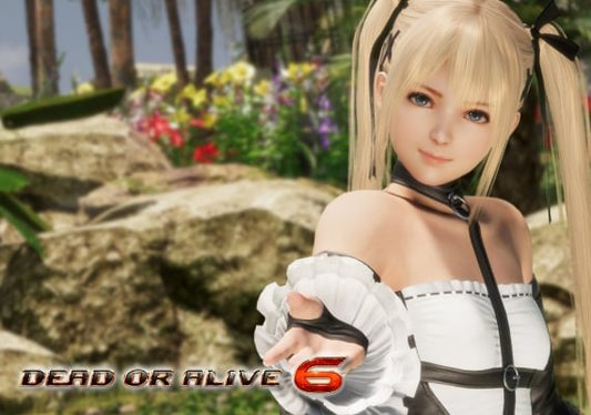 Dead or Alive 6 stoom CD Key