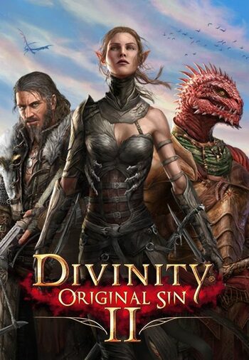Divinity: Divinity: Original Sin 2 Goddelijke Hemelvaart Wereldwijd GOG CD Key
